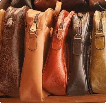 Backpacks, bags, and accessories